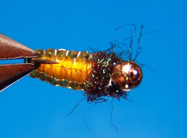 Larva potočníka z bodyglassu